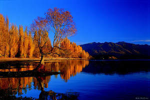 4 5 Star Accommodation in Queenstown