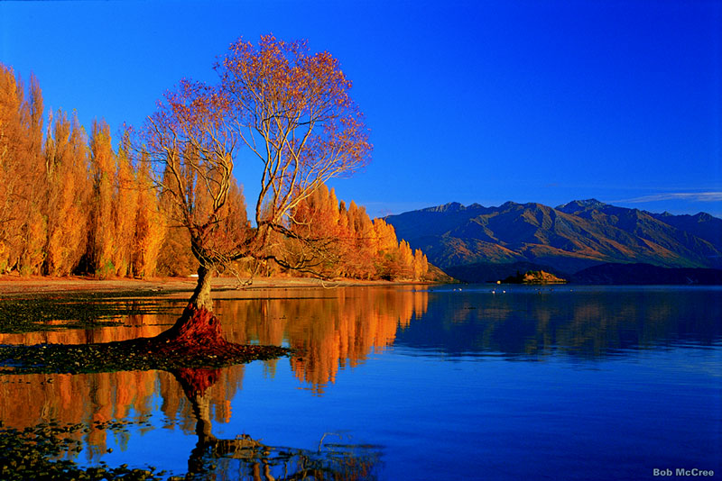 4 5 Star Accommodation in Queenstown