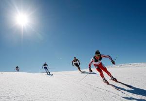Winter Games in 2011.